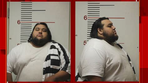 Man pleads guilty to multiple counts in migrant smuggling tragedy .